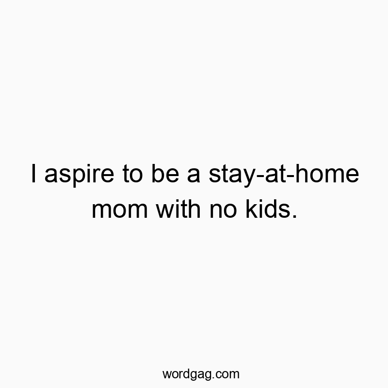 I aspire to be a stay-at-home mom with no kids.