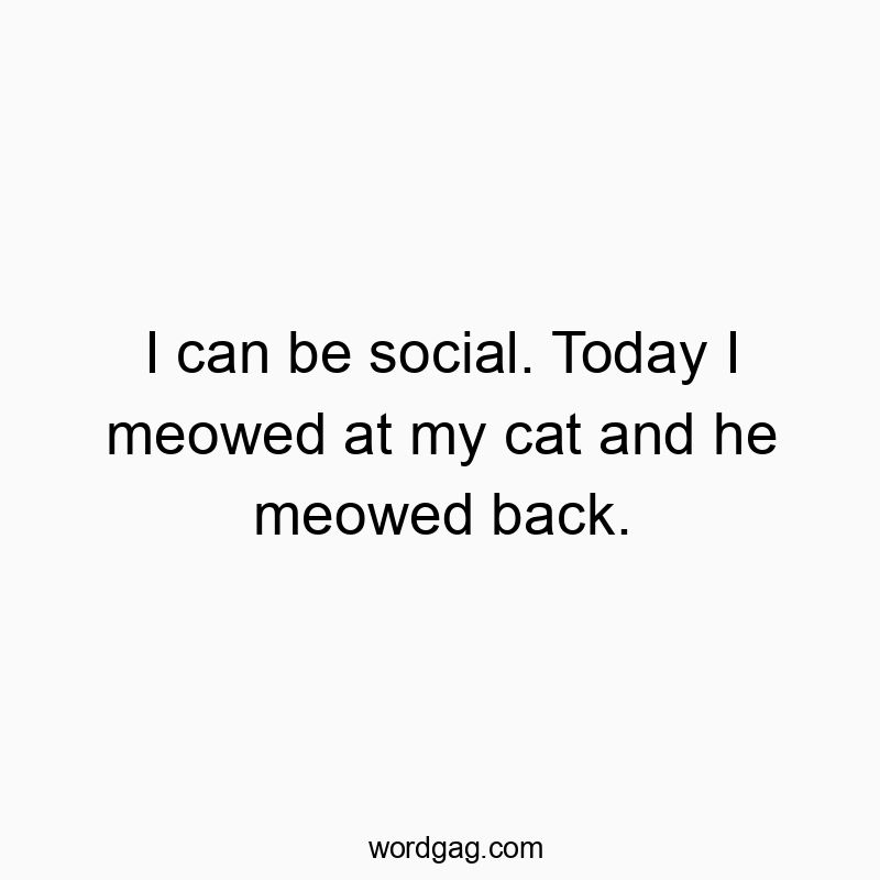I can be social. Today I meowed at my cat and he meowed back.