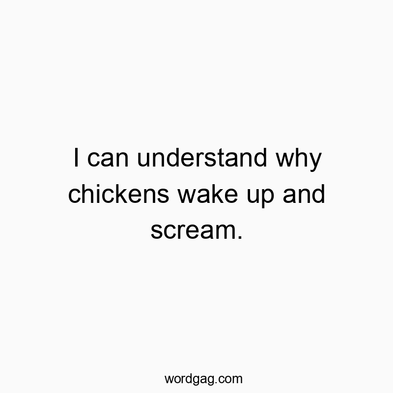 I can understand why chickens wake up and scream.