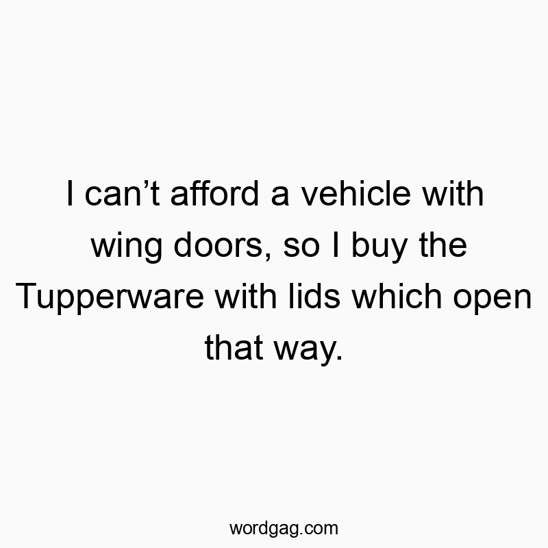 I can’t afford a vehicle with wing doors, so I buy the Tupperware with lids which open that way.