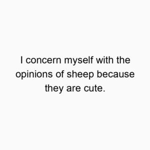 I concern myself with the opinions of sheep because they are cute.