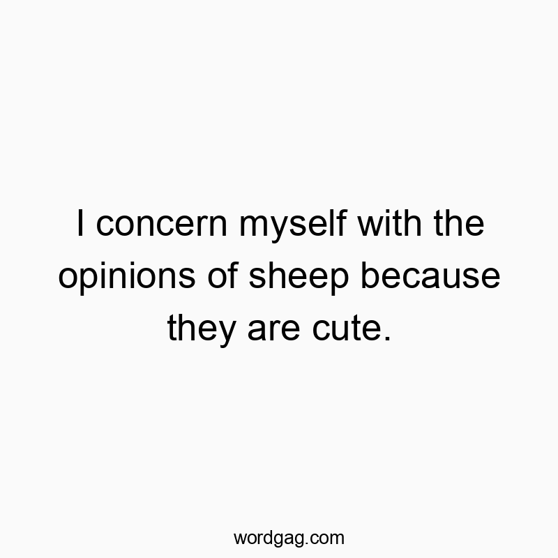 I concern myself with the opinions of sheep because they are cute.