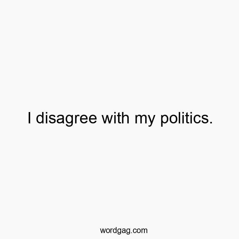 I disagree with my politics.