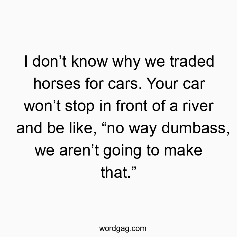 I don’t know why we traded horses for cars. Your car won’t stop in front of a river and be like, “no way dumbass, we aren’t going to make that.”