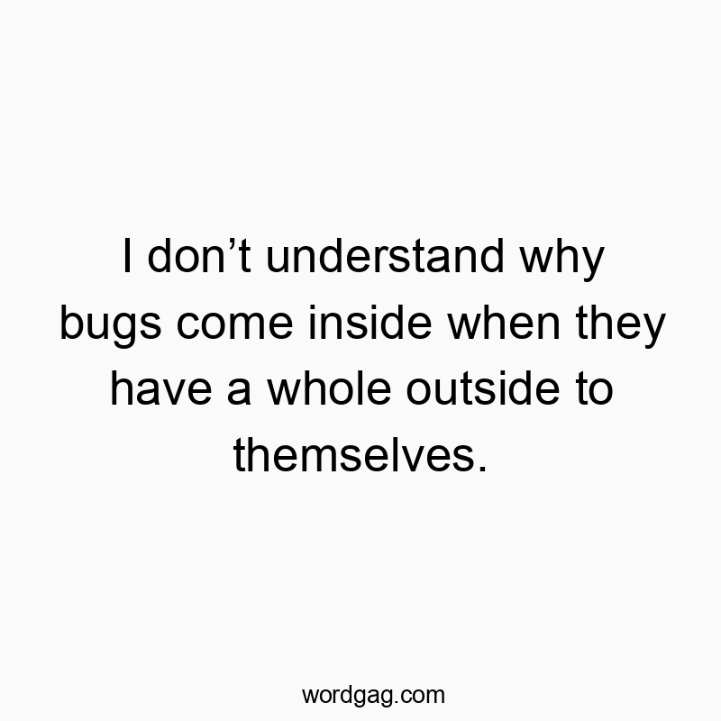 I donโt understand why bugs come inside when they have a whole outside to themselves.