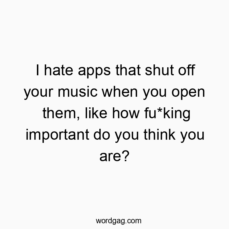 I hate apps that shut off your music when you open them, like how fu*king important do you think you are?