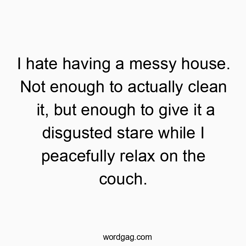 27 Funny stare quotes - I hate having a messy house. Not enough to actually clean i…