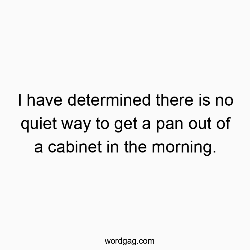 I have determined there is no quiet way to get a pan out of a cabinet in the morning.