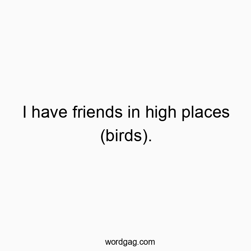 I have friends in high places (birds).