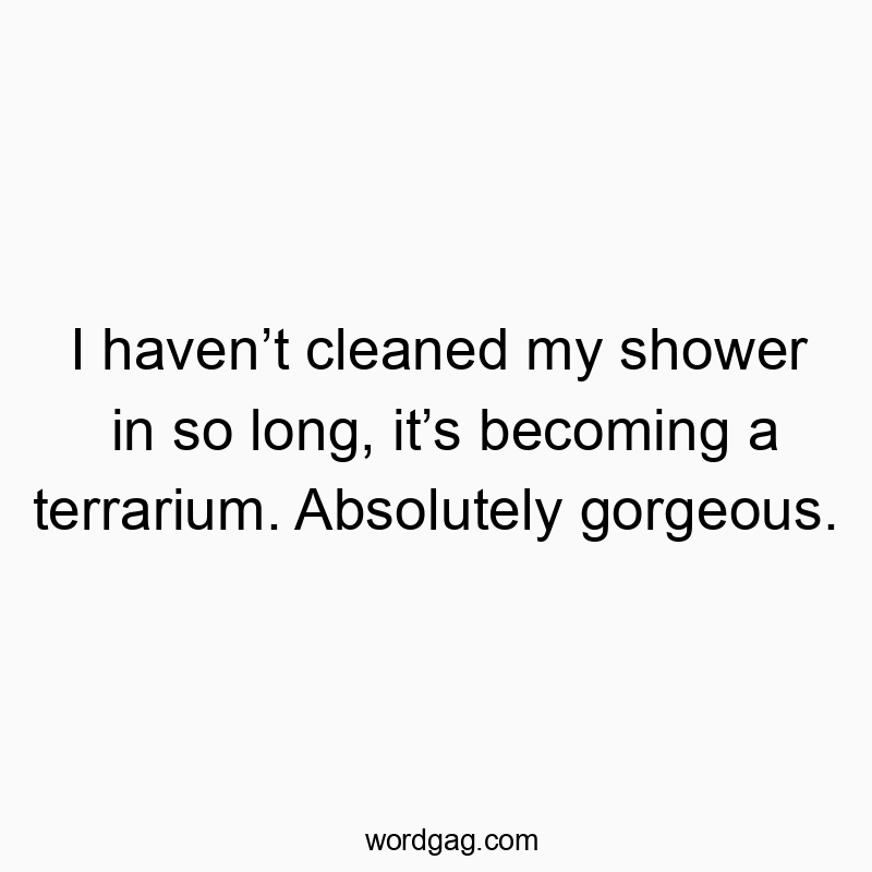 I havenโt cleaned my shower in so long, itโs becoming a terrarium. Absolutely gorgeous.