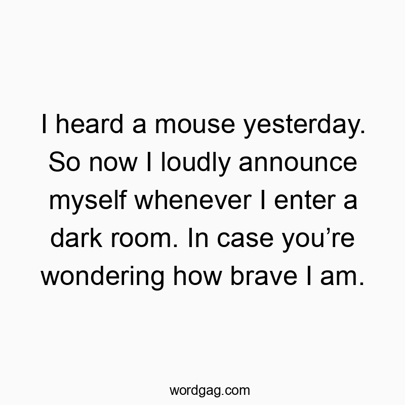 I heard a mouse yesterday. So now I loudly announce myself…