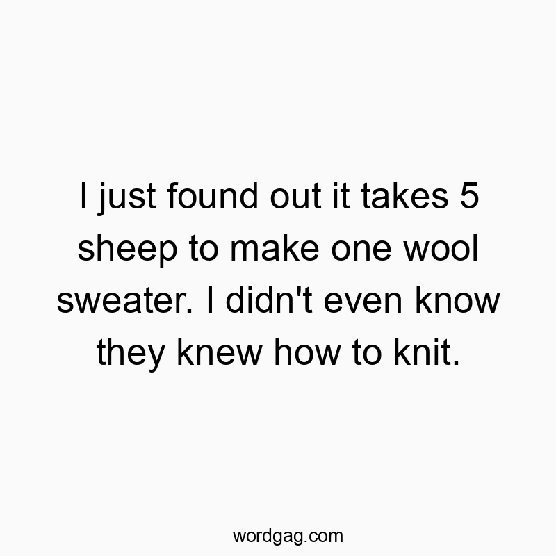 181 Funny animal quotes - I just found out it takes 5 sheep to make one wool sweater. I didn’t even know they knew how to knit.