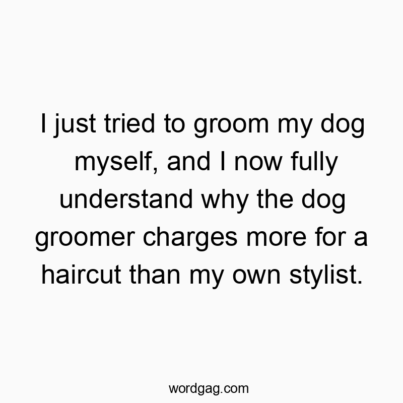 I just tried to groom my dog myself, and I now fully understand why the dog groomer charges more for a haircut than my own stylist.