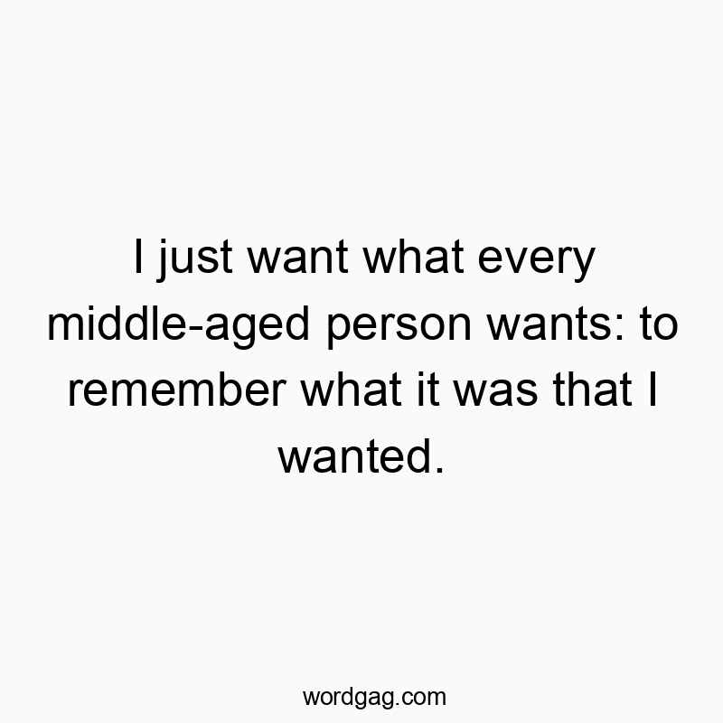 I just want what every middle-aged person wants: to remember what it was that I wanted.