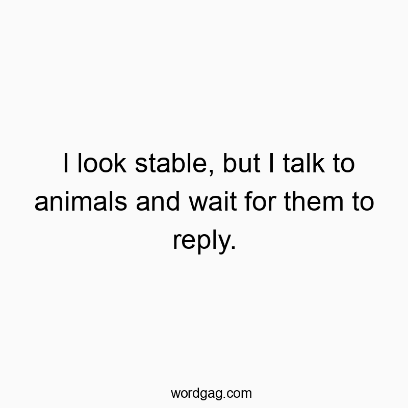 298 Funny conversation quotes - I look stable, but I talk to animals and wait for them to r…