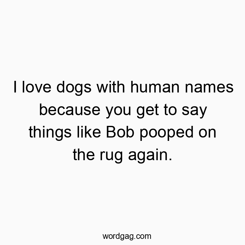 I love dogs with human names because you get to say things like Bob pooped on the rug again.