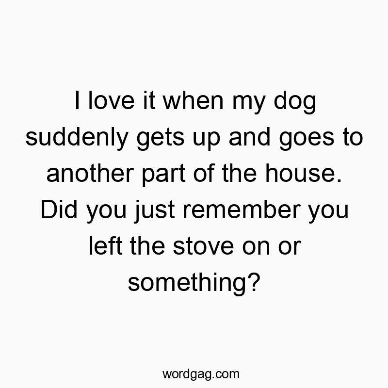 I love it when my dog suddenly gets up and goes to another part of the house. Did you just remember you left the stove on or something?