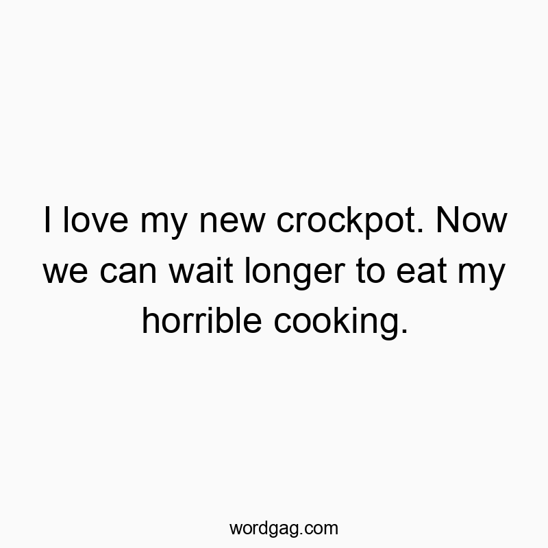I love my new crockpot. Now we can wait longer to eat my horrible cooking.