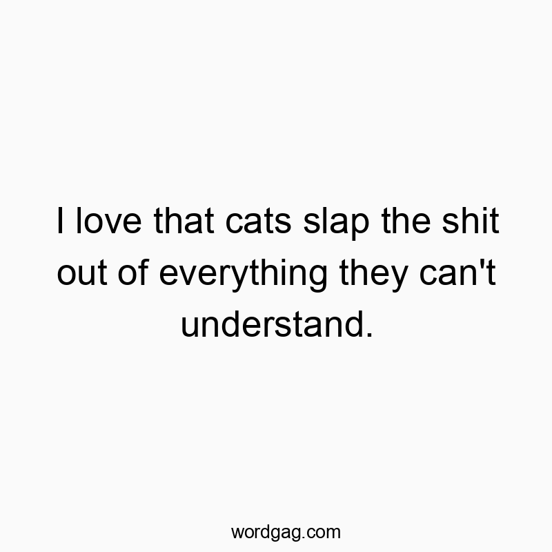 I love that cats slap the shit out of everything they can’t understand.