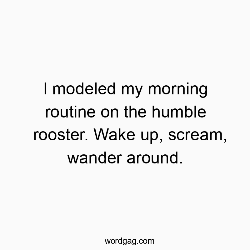 I modeled my morning routine on the humble rooster. Wake up…