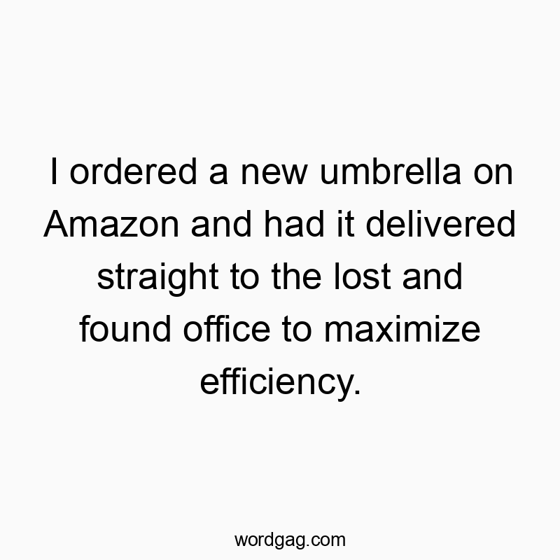 I ordered a new umbrella on Amazon and had it delivered straight to the lost and found office to maximize efficiency.