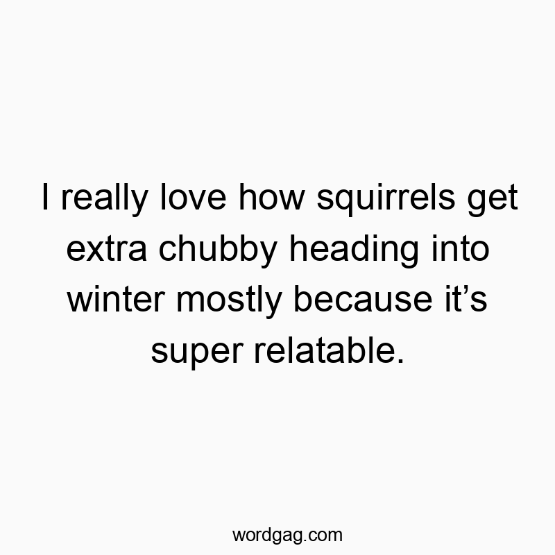 I really love how squirrels get extra chubby heading into winter mostly because itโs super relatable.