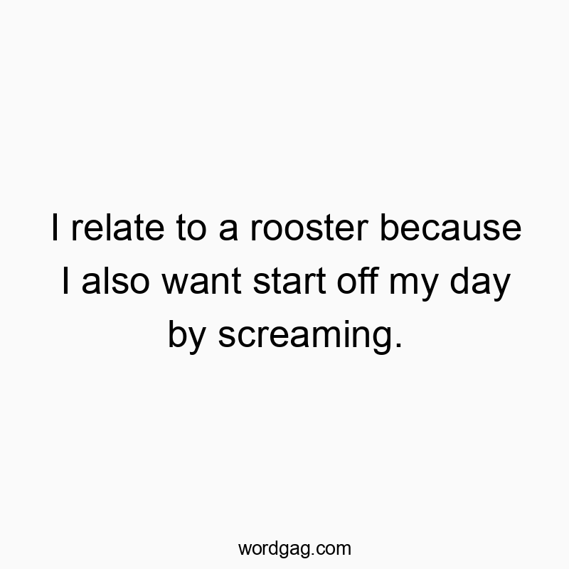 I relate to a rooster because I also want start off my day by screaming.