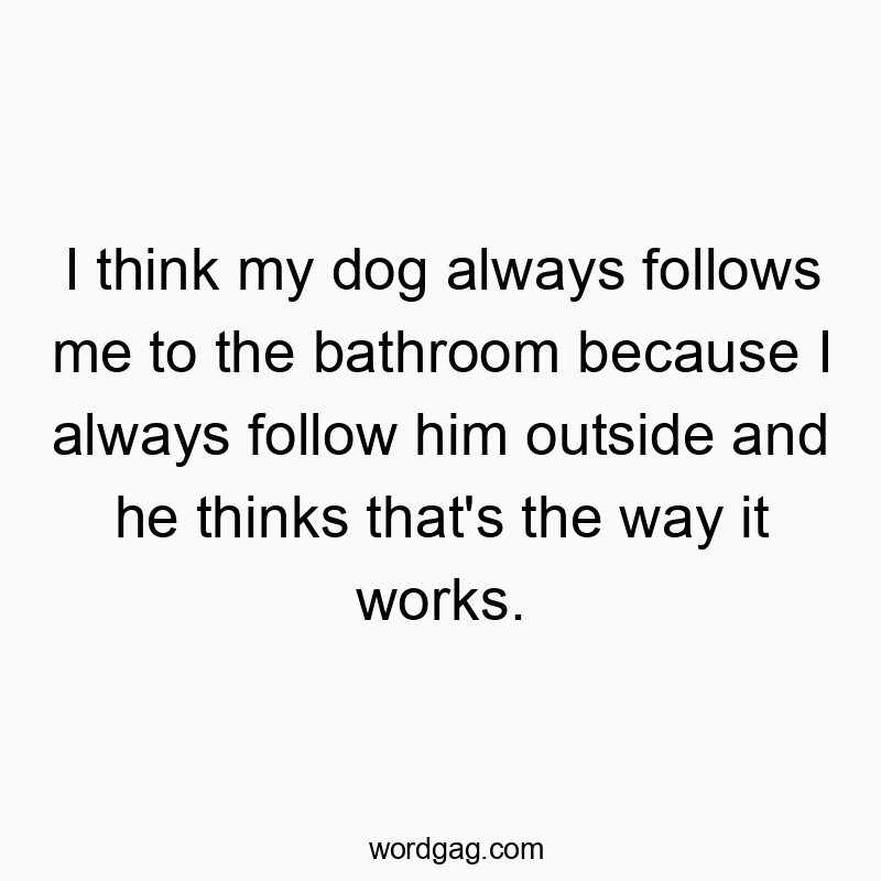 I think my dog always follows me to the bathroom because I always follow him outside and he thinks that’s the way it works.
