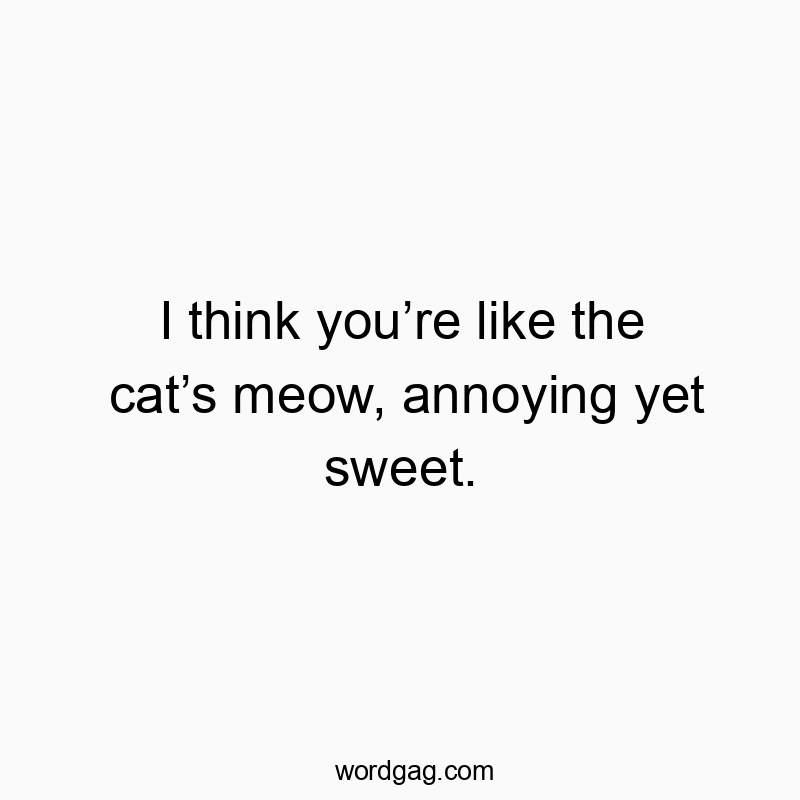 193 Funny playful quotes - I think you’re like the cat’s meow, annoying yet sweet.