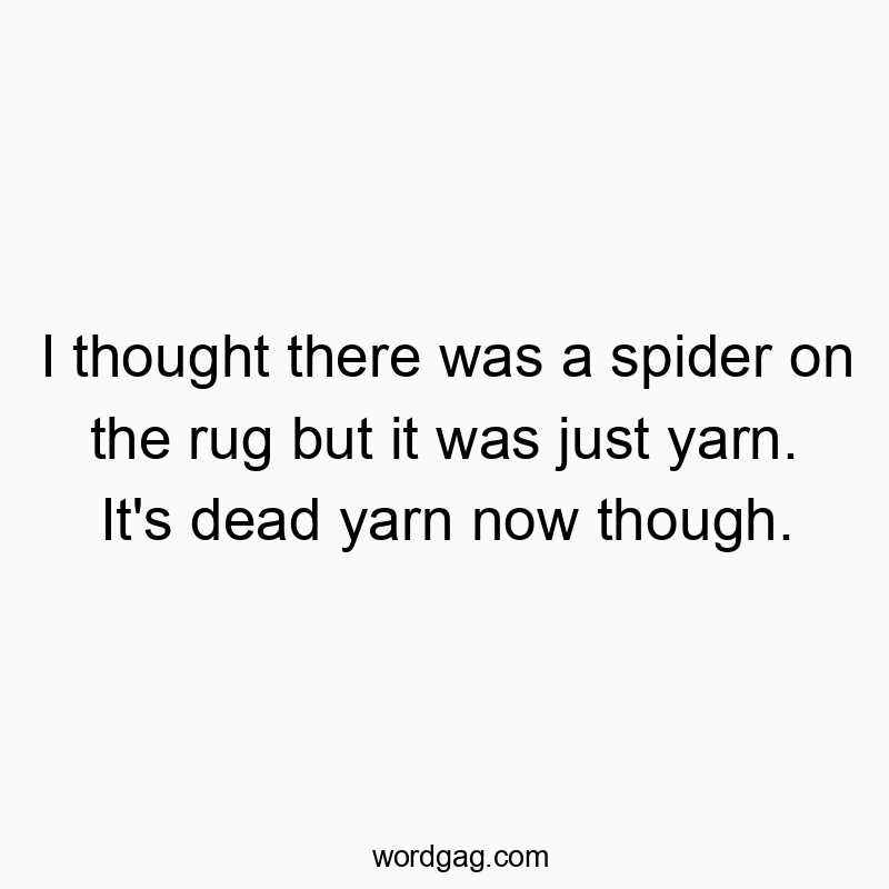 I thought there was a spider on the rug but it was just yarn. It’s dead yarn now though.