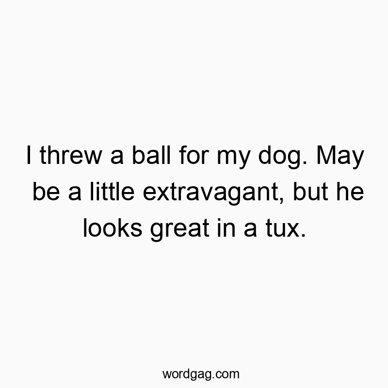 203 Funny little quotes - I threw a ball for my dog. May be a little extravagant, but…