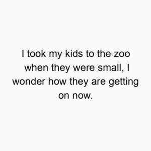 I took my kids to the zoo when they were small, I wonder how they are getting on now.