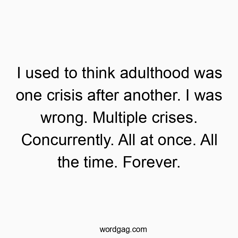 I used to think adulthood was one crisis after another. I was wrong. Multiple crises. Concurrently. All at once. All the time. Forever.