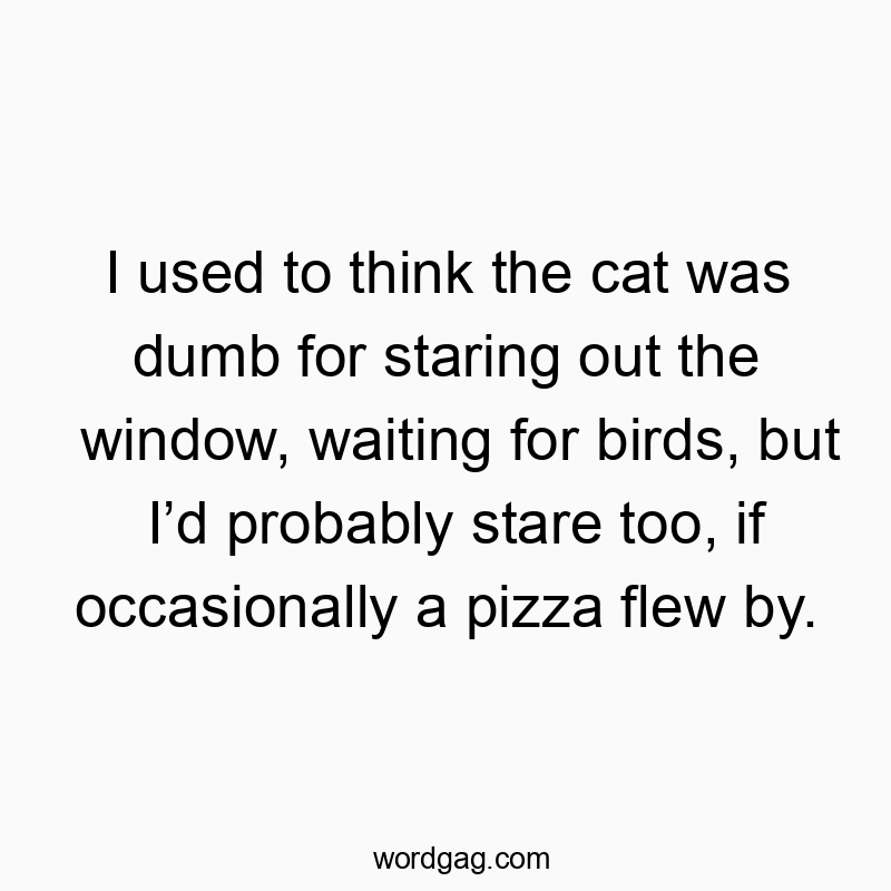 I used to think the cat was dumb for staring out the window, waiting for birds, but I’d probably stare too, if occasionally a pizza flew by.