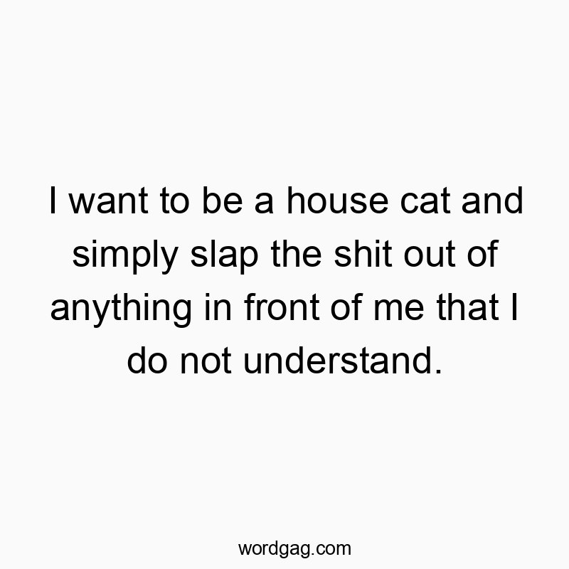 I want to be a house cat and simply slap the shit out of anything in front of me that I do not understand.