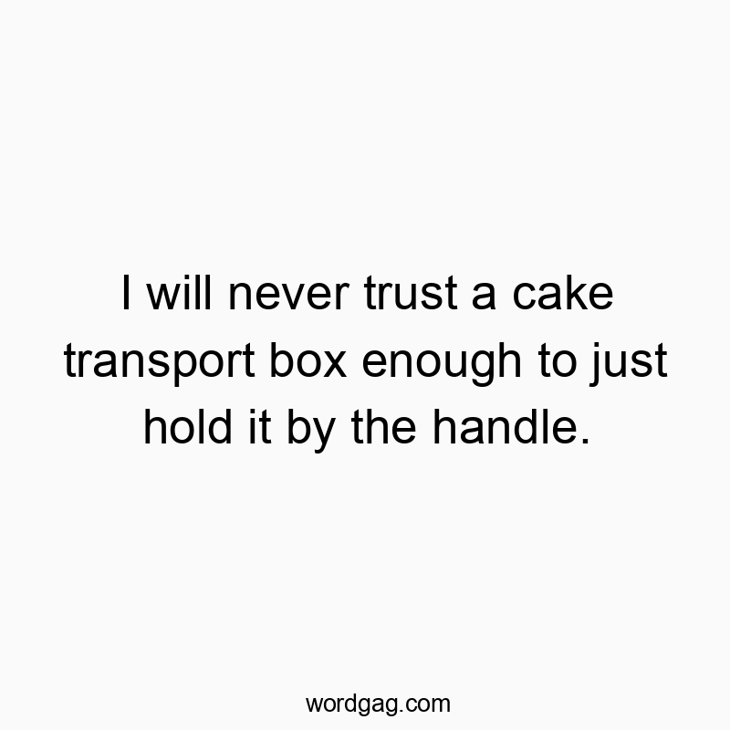 I will never trust a cake transport box enough to just hold it by the handle.