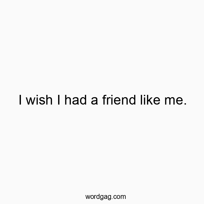 I wish I had a friend like me.