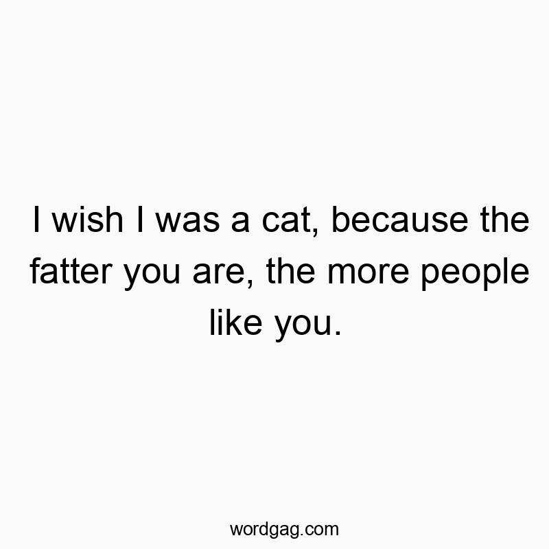 I wish I was a cat, because the fatter you are, the more people like you.