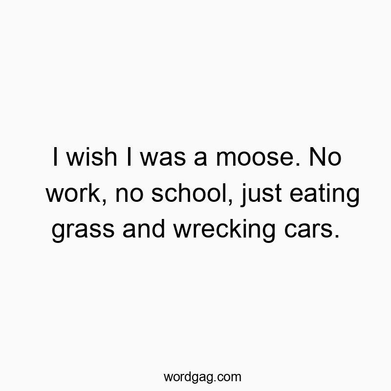 I wish I was a moose. No work, no school, just eating grass and wrecking cars.
