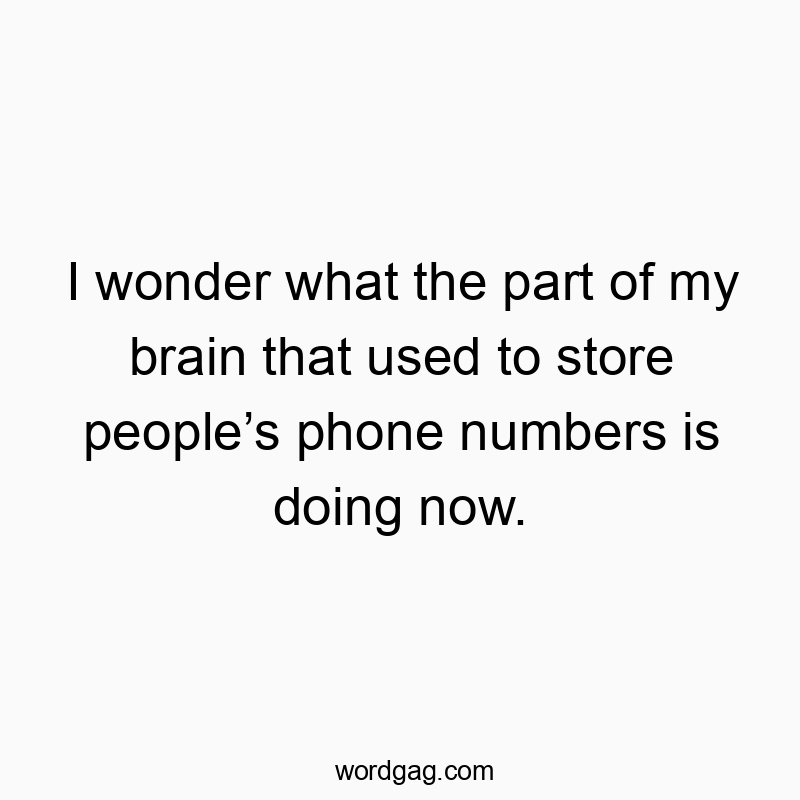 I wonder what the part of my brain that used to store people’s phone numbers is doing now.