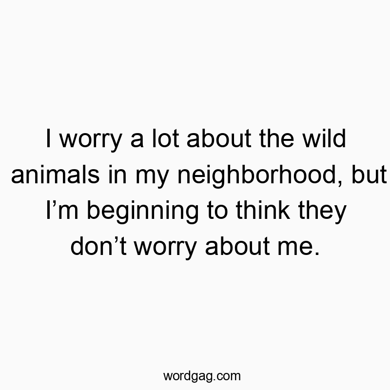I worry a lot about the wild animals in my neighborhood, but I’m beginning to think they don’t worry about me.