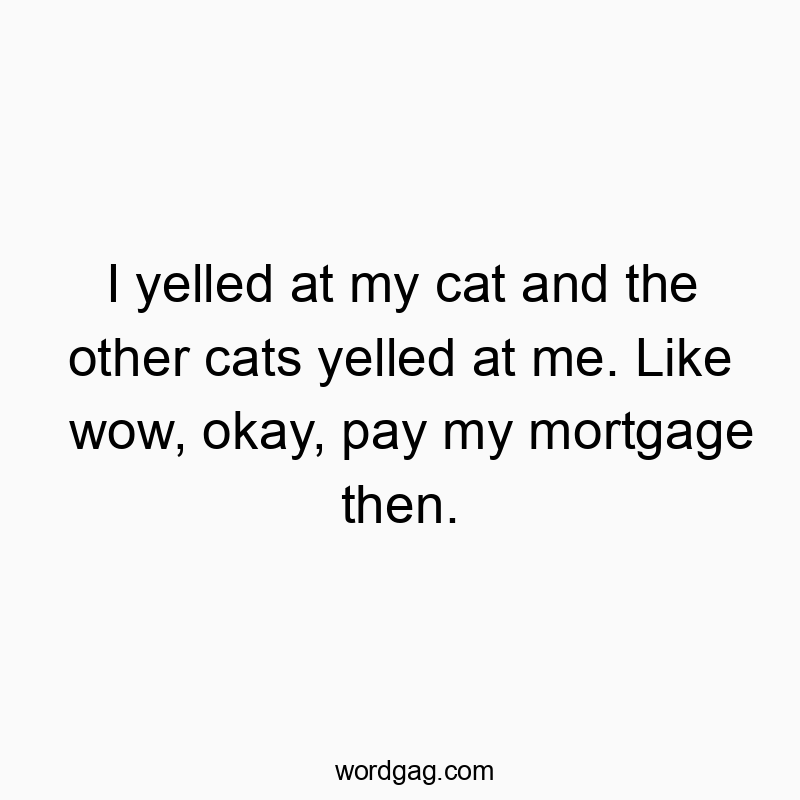 I yelled at my cat and the other cats yelled at me. Like wow...