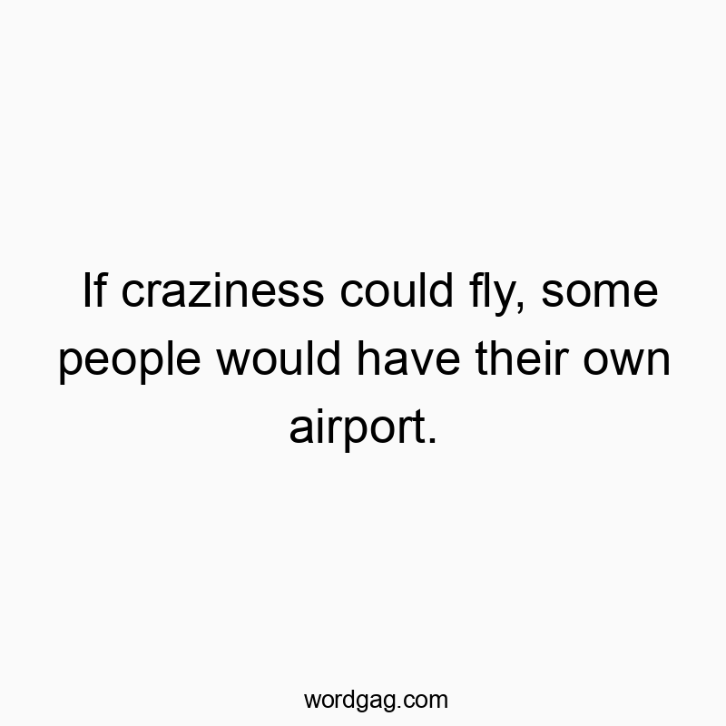If craziness could fly, some people would have their own airport.