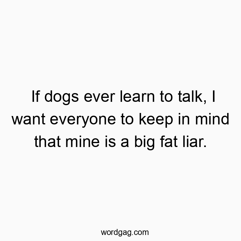 If dogs ever learn to talk, I want everyone to keep in mind that mine is a big fat liar.