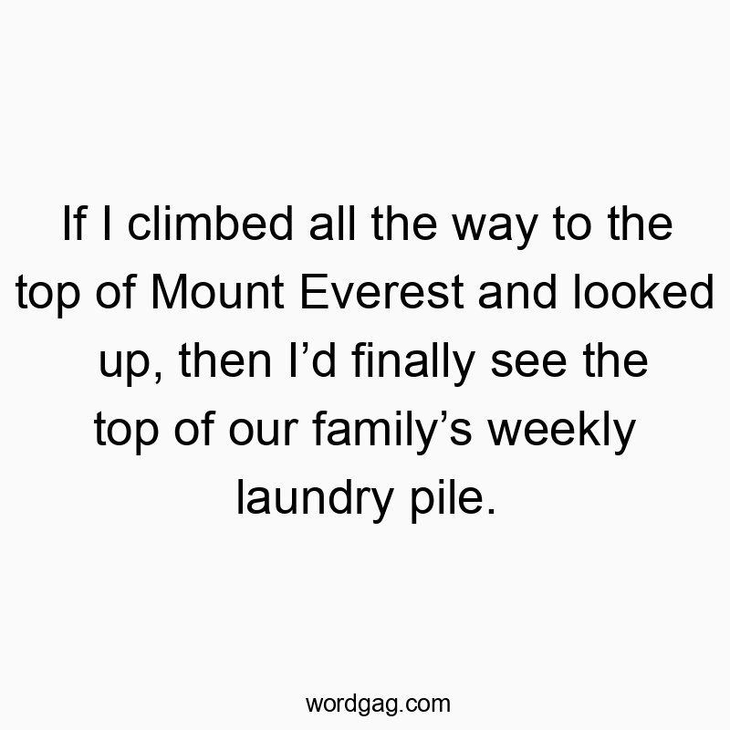 If I climbed all the way to the top of Mount Everest and looked up, then Iโd finally see the top of our familyโs weekly laundry pile.