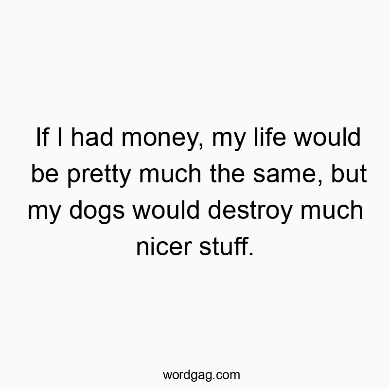 If I had money, my life would be pretty much the same, but my dogs would destroy much nicer stuff.