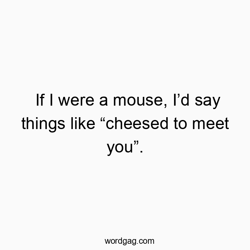 229 Funny things quotes - If I were a mouse, I’d say things like “cheesed to meet you…