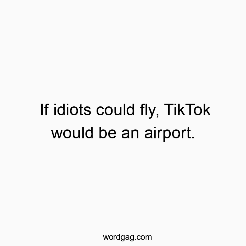 If idiots could fly, TikTok would be an airport.