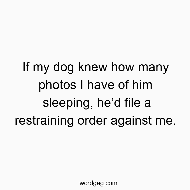 If my dog knew how many photos I have of him sleeping, he’d file a restraining order against me.