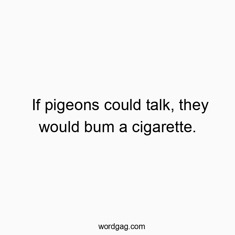 298 Funny conversation quotes - If pigeons could talk, they would bum a cigarette.